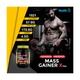 HealthVit Fitness Mass Gainer Xtra Powder - Chocolate Flavour 1 kg - Weight Gain