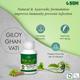 Shree Dhanwantri Herbals Giloy Ghan Vati 400's - Giloy