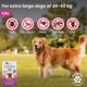 Wiggles Eraditch Spot on for Dogs Fleas Ticks Remover Treatment Drops 4.02 ml - Pet Grooming