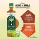 NourishVitals Aloe Vera + Amla Super Energizer Juice 500 ml - Ayurvedic Juices