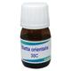 Boiron Blatta Orientalis 30C Liquid 20 ml - Dilutions