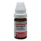 Dr. Willmar Schwabe Abies Nigra 30 CH Drops 10 ml - Homeopathic Drops