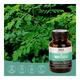 PAX Vedic Science Moringa Veg Capsule 60's - Herbal Dietary Supplement