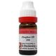 Dr. Reckeweg Zingiber Officinale 200 Liquid 11 ml - Dilutions