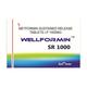 WELLFORMIN SR 1000mg Tablet 10's - Diabetes-Ant