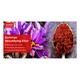 Vaadi Herbals 100% Pure Essential Oil - Suramya Beautifying Elixr with Saffron & Gold Leaves 10 ml - Essential Oils