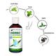 Dr.Vaidya's Herbo Cleanse Plus Herbal Hand Sanitizer Liquid (Pack of 2 x 200 ml) - Hand Sanitizer