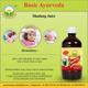 Basic Ayurveda Shadang Juice 500 ml - Ayurvedic Juices