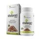 Four Seasons Shatavari Powder 100 gm - Pure Herbs