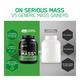 Optimum Nutrition (ON) Serious Mass Powder - Vanilla 3 kg - Workout Essentials