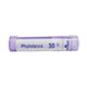 Boiron Phytolacca 30C Multi Dose PELLETS 4 GM - Speciality Medicine
