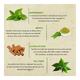 Bioayurveda Basics Vitamin Verve Vitalising Shampoo 500 gm - Shampoos
