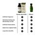 Kerala Ayurveda Winsoria Oil 100 ml - Speciality Medicines