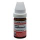 Dr. Willmar Schwabe Acidum Phosphoricum 30 CH Drops 10 ml - Dilutions