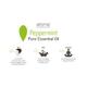 Aroma Treasures Pure Essential Oil - Peppermint 10 ml - Essential Oils
