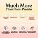 Kapiva Proteins with Herbs for Women - Assortment Pack (Pack of 12 x 35 gm) - Health Products