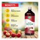 Swadeshi Ayurved Apple Vinegar Juice 500 ml - Ayurvedic Juices