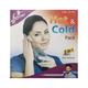 Flamingo Hot & Cold Pack - Regular (HC-1014) - Others Ortho Supports