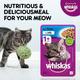 Whiskas Adult Tuna in Jelly (Pack of 85gm x 96) 8160 gm - Petfood
