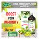 Swadeshi Ayurved Amla Neem Giloy With Tulsi Juice 1 litre - Ayurvedic Juices