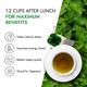 Kapiva Dia Foods Green Tea 45 gm - Teas