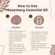 Essentia Extracts Pure Steam Distilled Essential Oil - Rosemary (Pack of 2 x 15 ml) 1's - Essential Oils