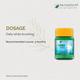 Dr. Vaidya's Herbodanty Powder (Pack of 2 x 50 gm) (N) - Speciality Medicines