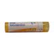 Boiron Rhus Toxicodendron 1M Multi Dose PELLETS 4 GM - Speciality Medicine