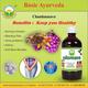 Basic Ayurveda Chandanasava Liquid 450 ml - Speciality Medicines