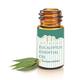 Mesmara Essential Oil - Eucalyptus 30 ml - Essential Oils
