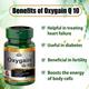 Cipzer Oxygain Q10 Softgel Capsule 60's - Multi-Vitamins