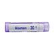 Boiron Alumen Crudum 30C Multi Dose PELLETS 4 GM - Speciality Medicine