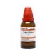 Dr.Willmar Schwabe Ledum Palustre Ø Liquid 30 ml (N) - Dilutions