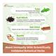 Dr. Morepen Ayush Kwath Powder 100 gm - Health Products