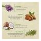 Bioayurveda Basics Homme Himalayan Salt Detox Face Scrub Creme 120 gm - Scrubs & Exfoliants