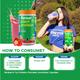 Fast&Up Vegan Plant Protein Powder - Strawberry Splash Flavour 440 gm - Workout Essentials