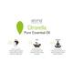 Aroma Treasures Pure Essential Oil - Citronella 10 ml - Essential Oils