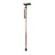 Entros Folding Walking Stick (EHS-927L) - Wheelchairs & Walking Sticks