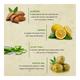 Bioayurveda Pearl Luminous Brightening Body Creme 120 gm - Lotions & Creams