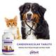 Petvit Cardiovascular Chewable Tablets 60's - Petfood