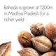 Kapiva Ayur Foods Triphala Plus Capsules 60's - Pure Herbs