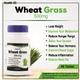 HealthVit Wheat Grass 500 mg Capsules 60's - Herbal Dietary Supplement