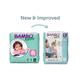 Bambo Nature Tape Diapers with Wetness Indicator - XXL (6) 120's - Diapers & Wipes