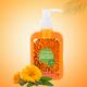Bjain Omeo Calendula Hand Wash (Pump) 200 ml - Personal Care(Homeopathy)
