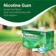 2baconil Icy Mint 2 mg Chew Gum 50's (N) - Nicotine Gums/Lozenges