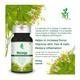 Mint Veda Moringa Veg Capsule 60's - Herbal Dietary Supplement