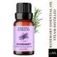 Essentia Extracts Pure Steam Distilled Essential Oil - Rosemary 15 ml - Essential Oils