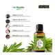 Indus Valley Essential Oil - Tea Tree 15 ml - Personal Care (Ayush)