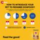 Pedigree Adult Chicken & Vegetables 1 kg - Petfood