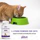 Petvit L-Lysine Powder for Cats 100 gm - Petfood